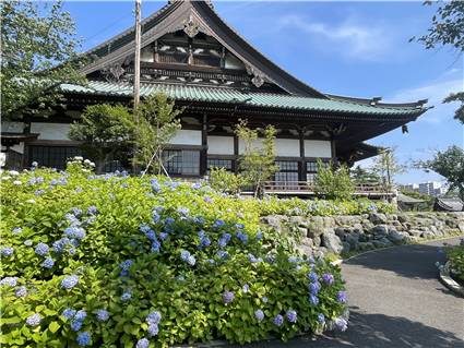 遊行寺さんぽ_20260613_002