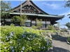 遊行寺さんぽ_20260613_002