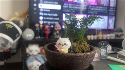 苔とちいかわ_20250628_01