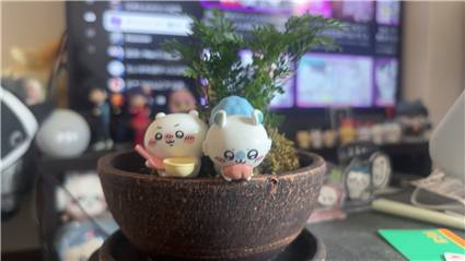 苔とちいかわ_20250628_02