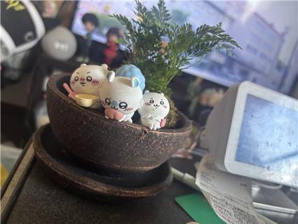 苔とちいかわ_20250628_03